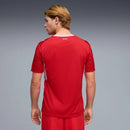 Camisa adidas do País de Gales 2026 mandante - Masculina (Cópia)